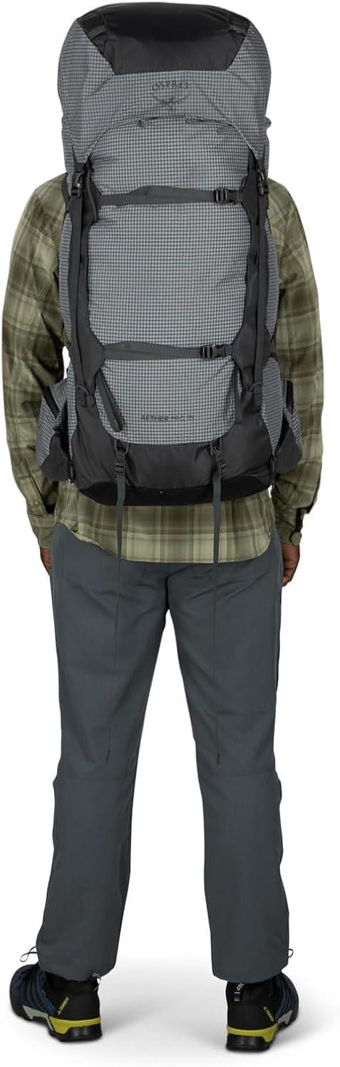 imageOsprey Aether Pro 75L Mens Backpacking Backpack Silver Lining LXLSilver Lining