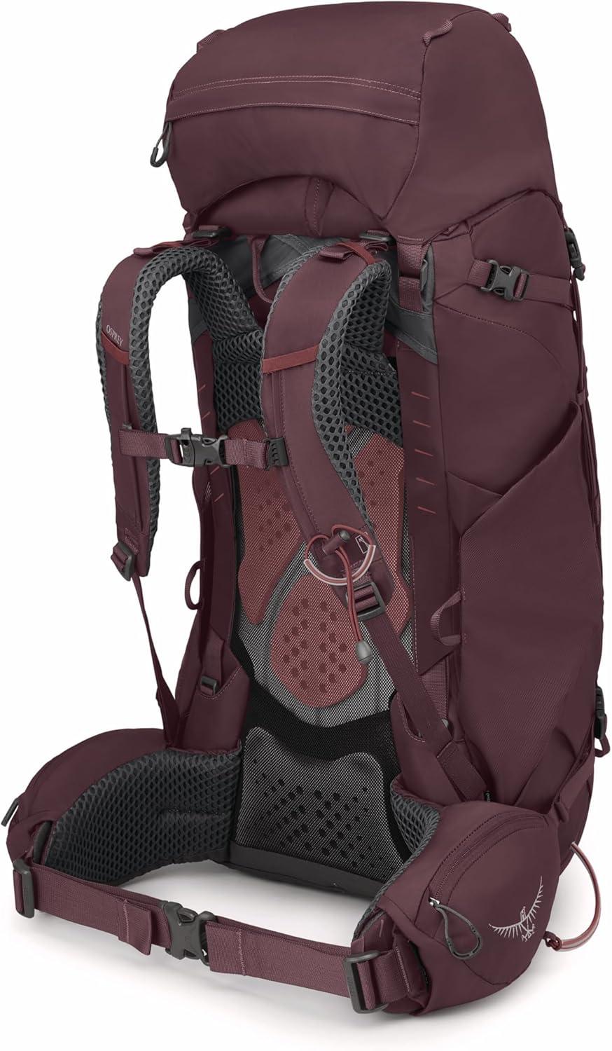 imageOsprey Kyte 58L Womens Backpacking Backpack with Hipbelt Elderberry Purple WXSSElderberry Purple