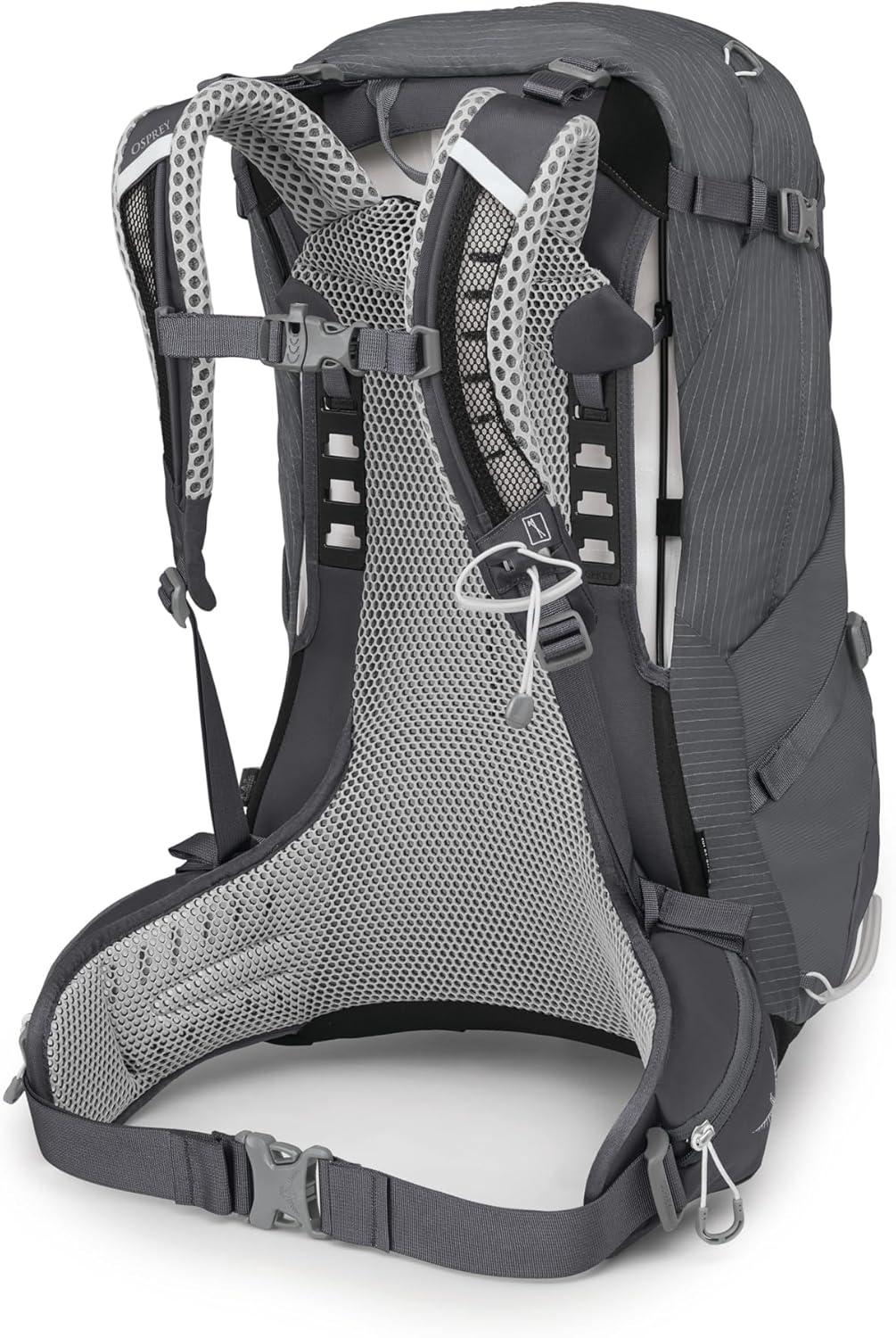 imageOsprey Sirrus 34L Womens Hiking Backpack Elderberry PurpleChiru TanTunnel Vision Grey