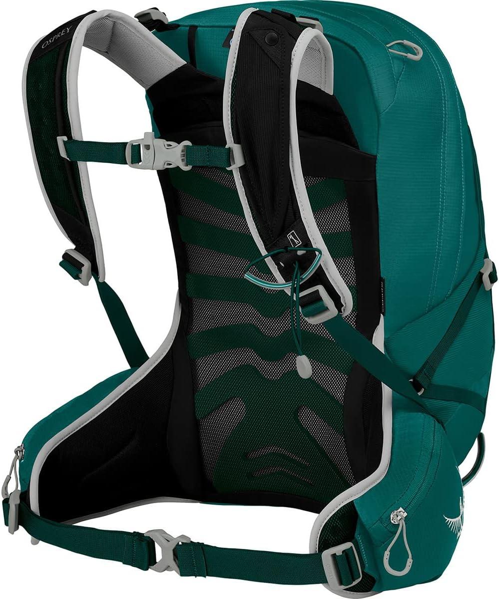 imageOsprey Tempest 20L Womens Hiking Backpack with Hipbelt Violac Purple WMLJasper Green