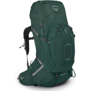 Osprey Aether Plus 60L Men’s Backpacking Backpack, Axo Green, L/XL(Axo Green)