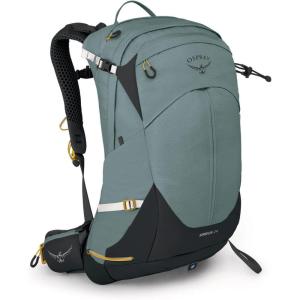 Osprey Sirrus 34L Women’s Hiking Backpack, Elderberry Purple/Chiru Tan(Succulent Green)
