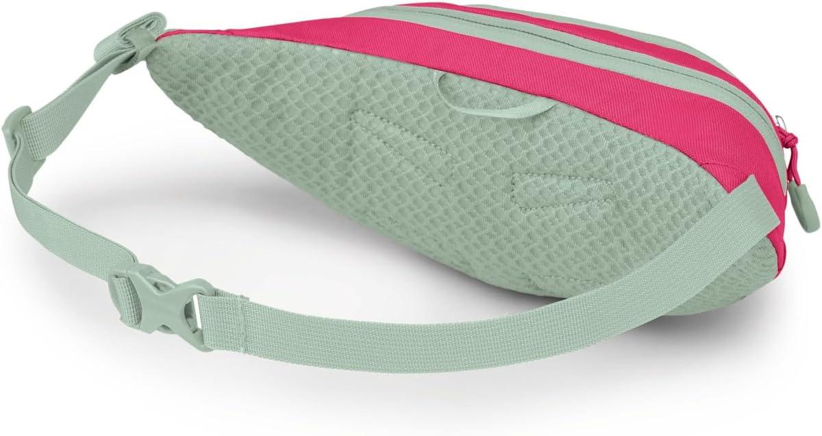imageOsprey Daylite Mini Waist PackHotspot Pink