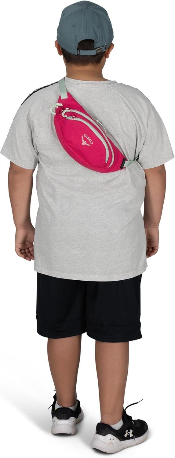 imageOsprey Daylite Mini Waist PackSoundwave Grey