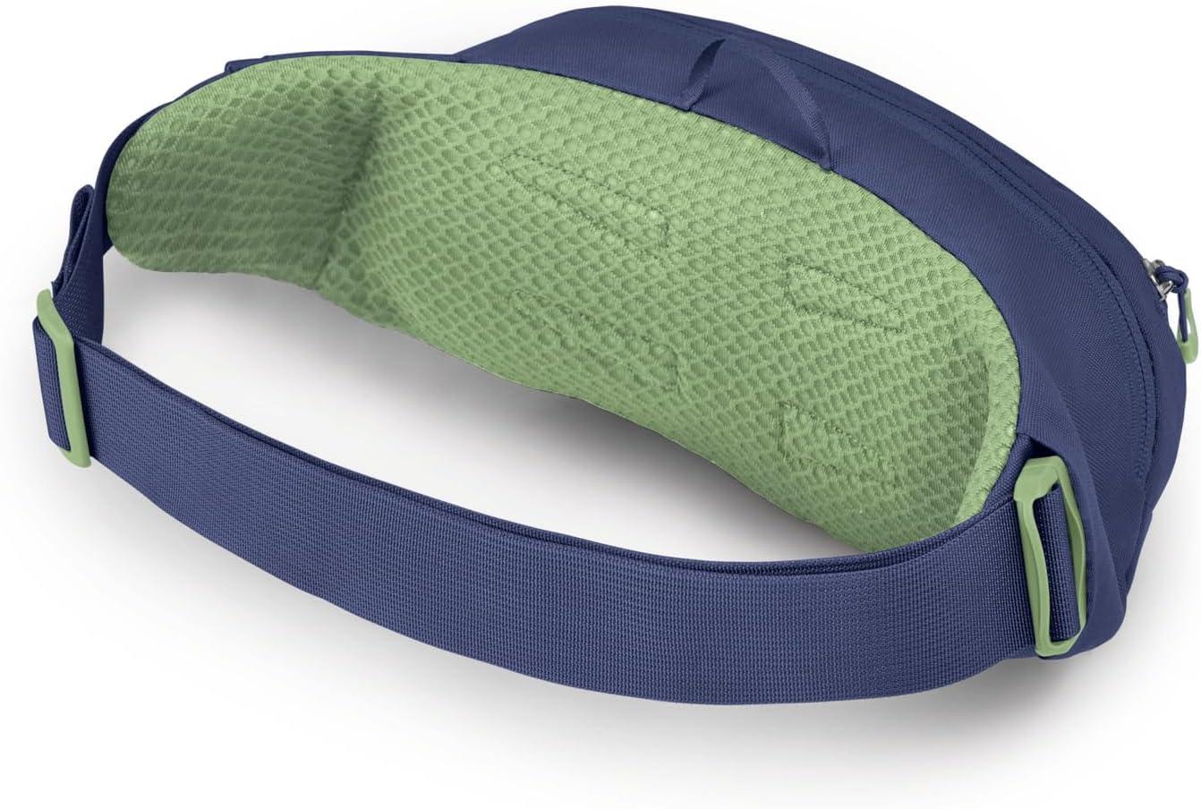 imageOsprey Daylite Waist PackBlue SpikemassAlkaline