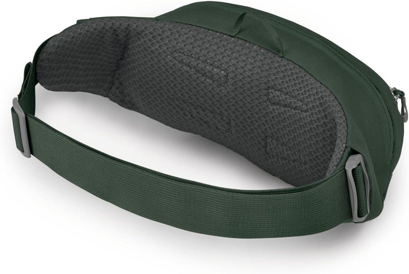 imageOsprey Daylite Waist PackGreen Beltareen Canopy
