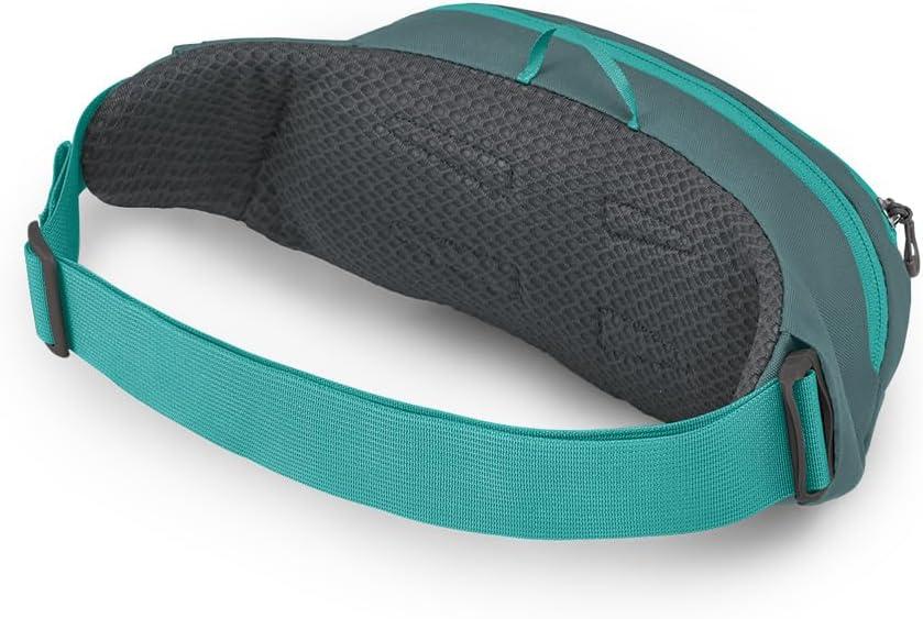 imageOsprey Daylite Waist PackJetstream Blue