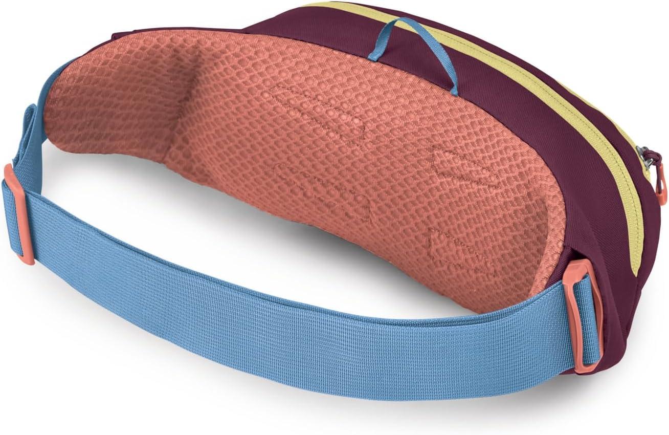 imageOsprey Daylite Waist PackMoody Burgundy