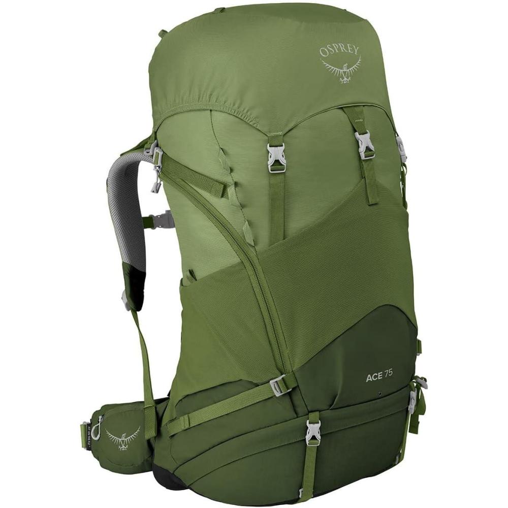 imageOsprey Ace Kids Backpacking BackpackVenture Green