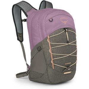 Osprey Quasar 26L Commuter Backpack, Green Tunnel/Brindle Brown(Pashmina/Tan Concrete)